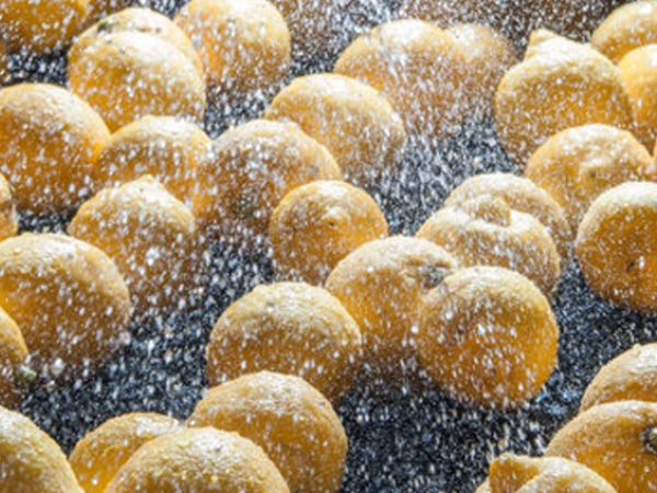 seguridad alimentaria